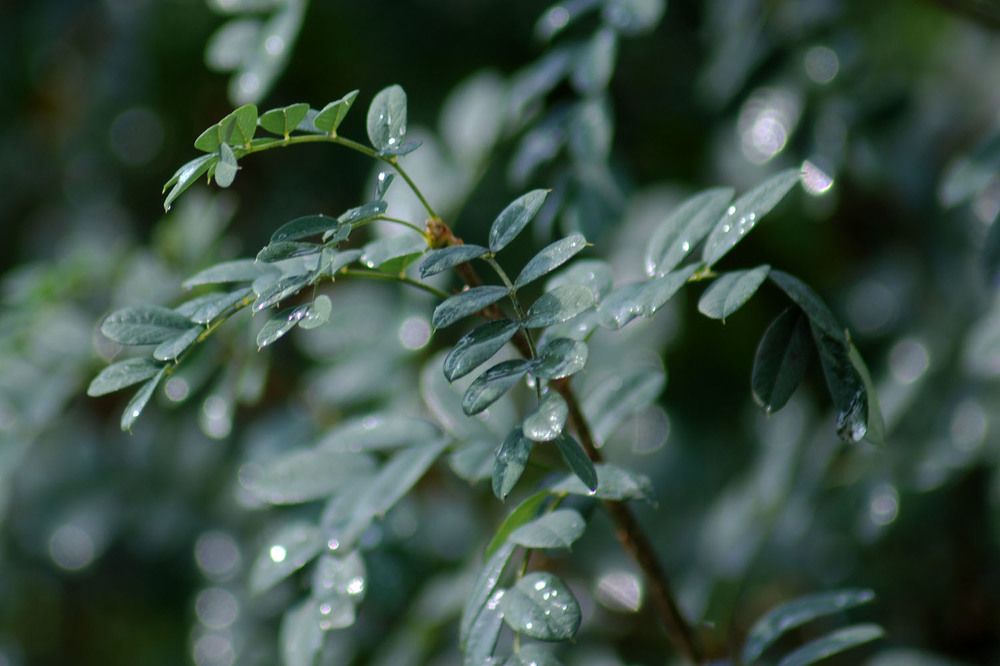 Photograph by Людмила Павловна