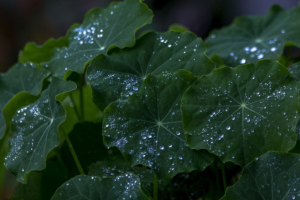 Photograph by Людмила Павловна