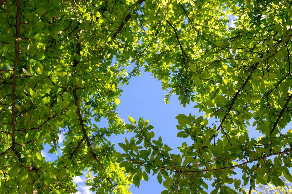 Photograph by Павел Юнусов