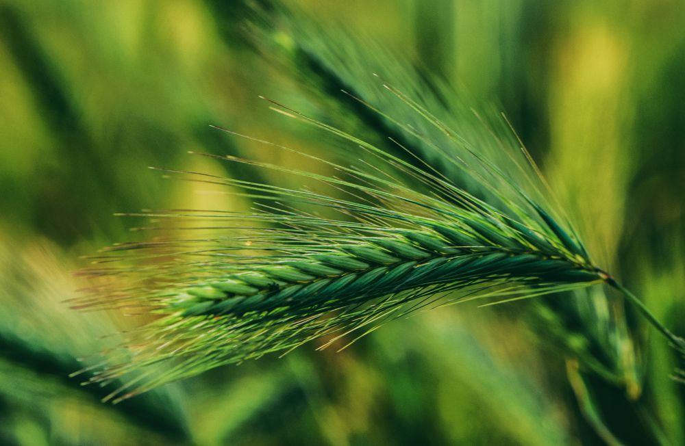 Photograph by Юлия Ковальчук