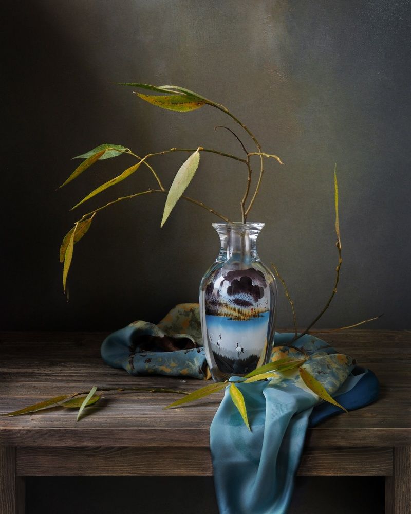 Willow is bent over and sleeping/Ива склонилась и спит