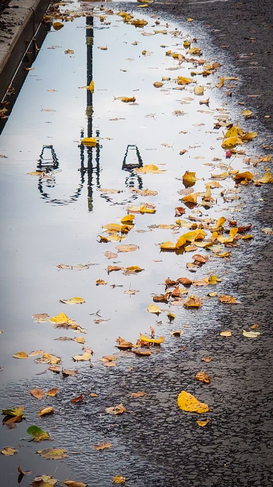 Фотография автора Elena Ku