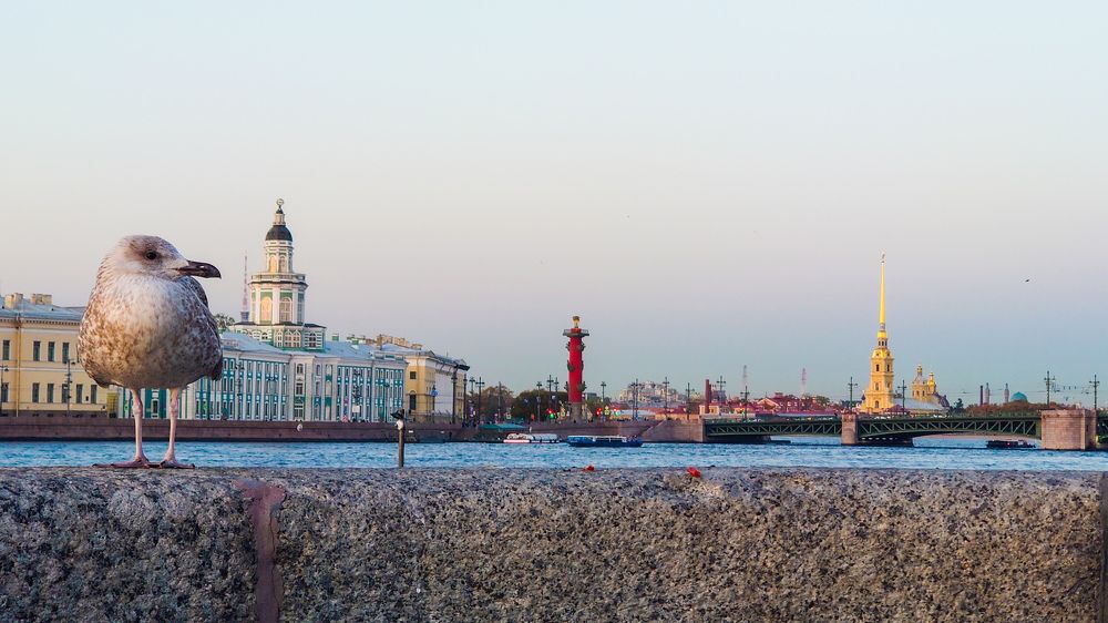 Фотография автора Elena Ku