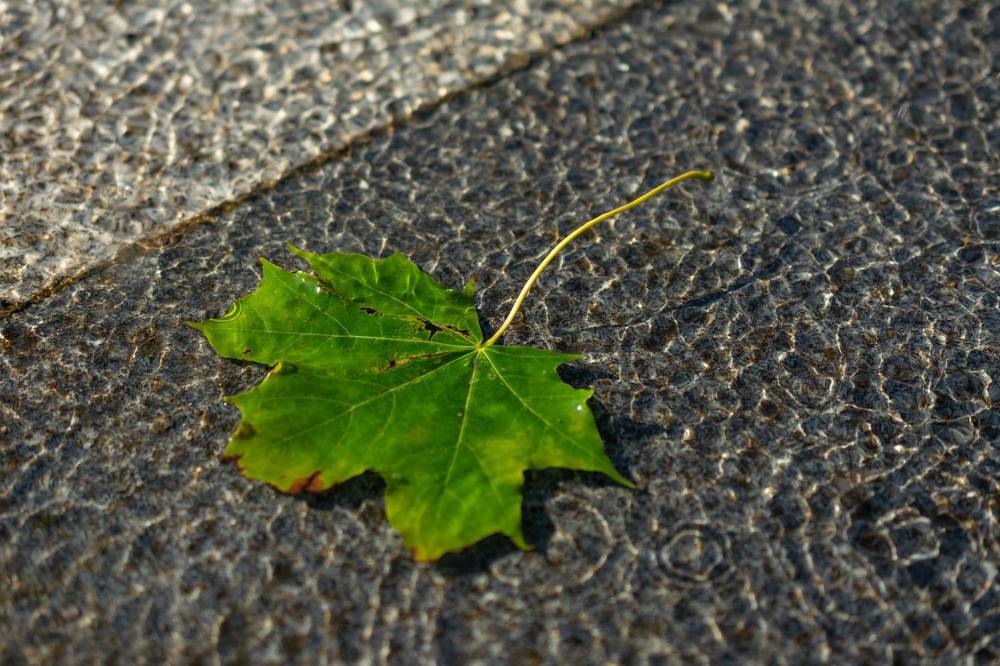 Photograph by Павел Юнусов