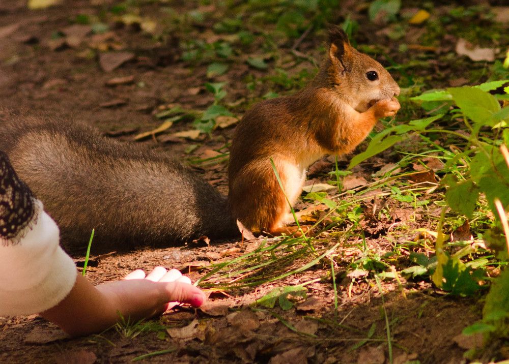 Фотография автора Alexander Bogdanov