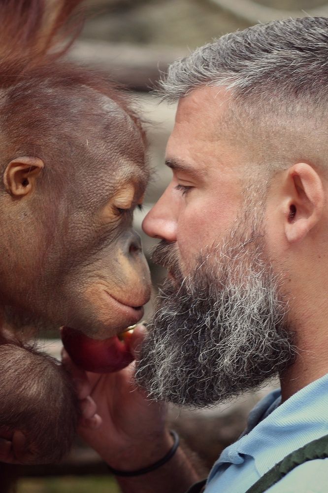 Фотография автора Елена Кириллова