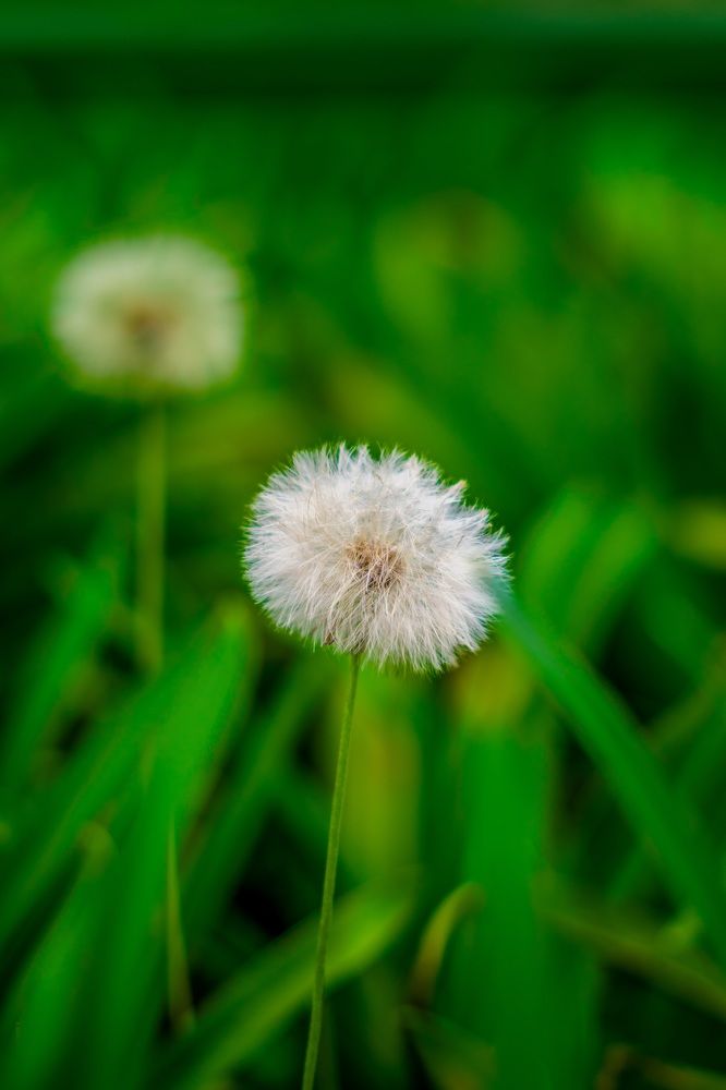 Фотография автора Antonio Etevaldo Rodrigues Junior