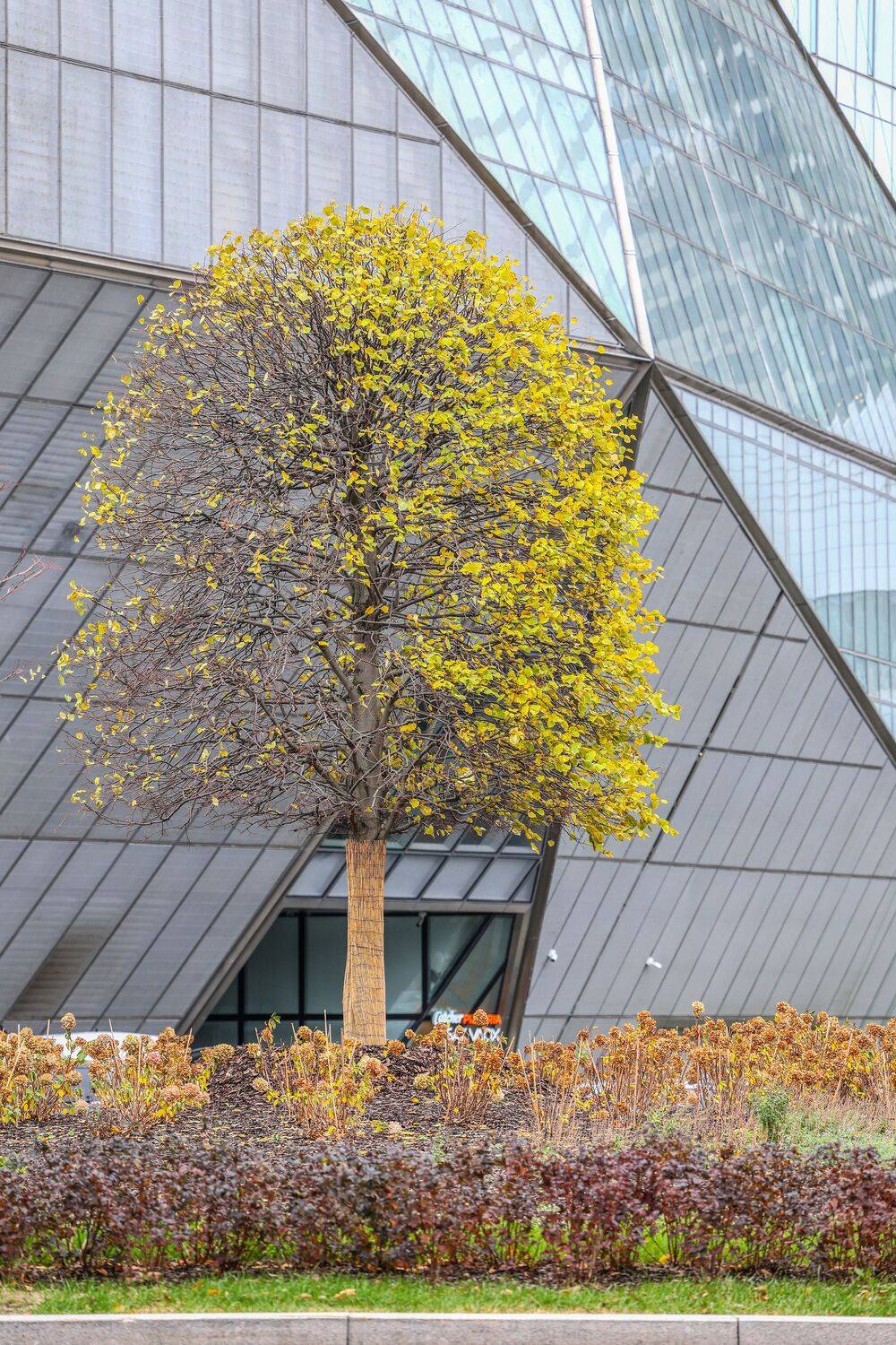 Фотография #11374508