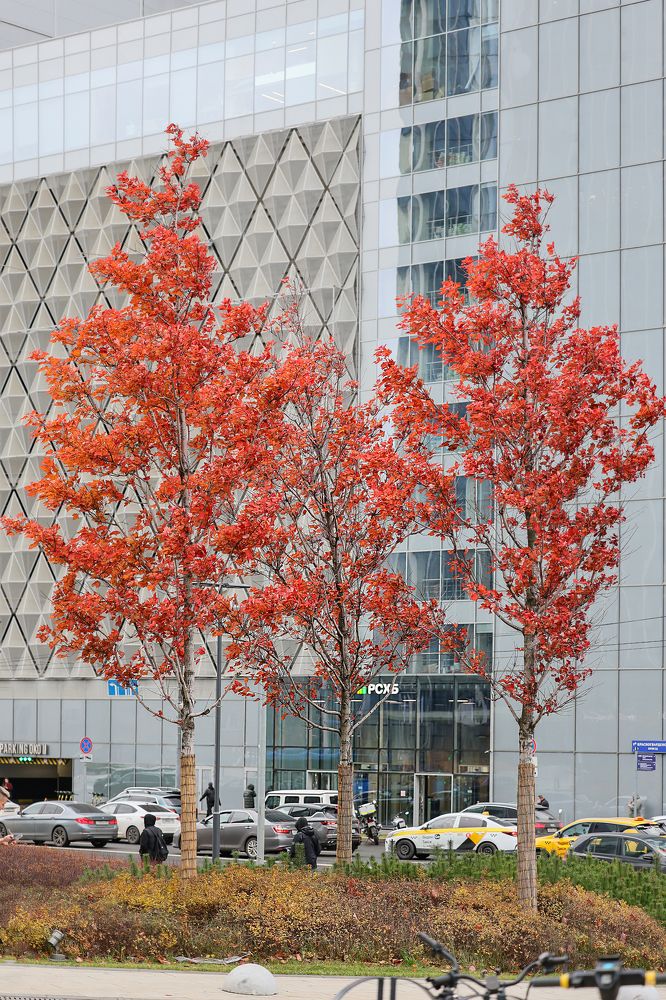 Photograph by Андрей Лысиков