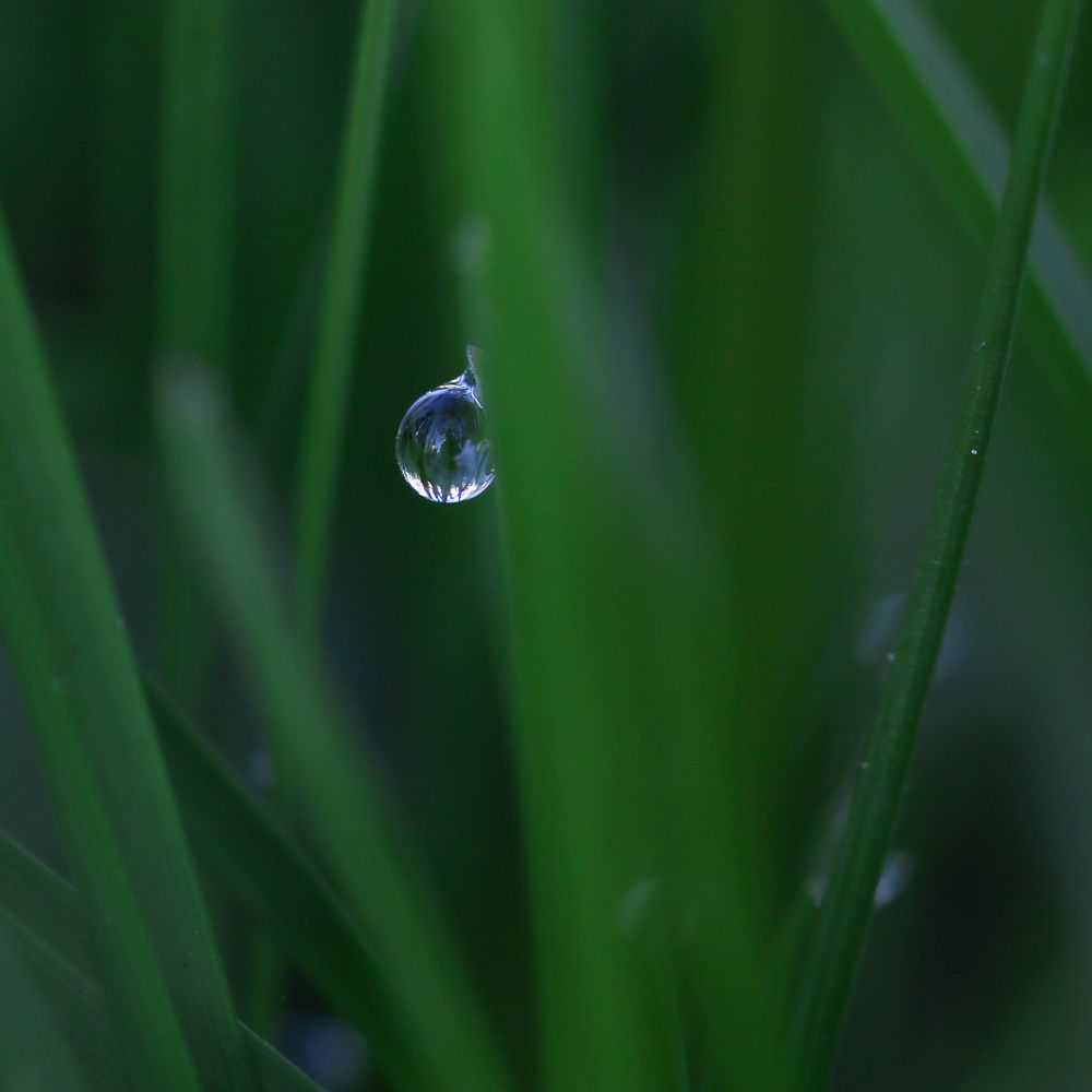 Photograph by Надежда Зайцева