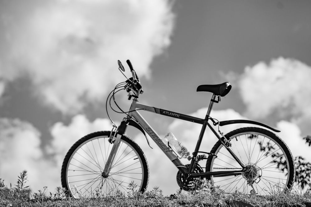 Photograph by Владимир Рогулькин