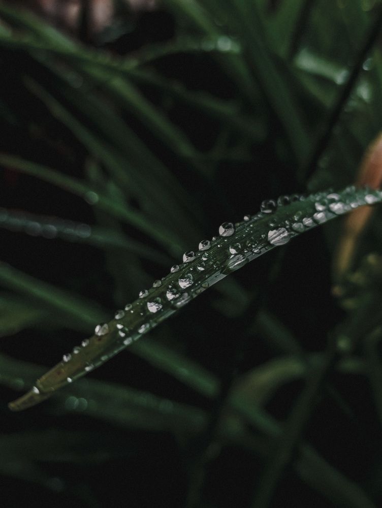 Фотография автора Юлия Якубова