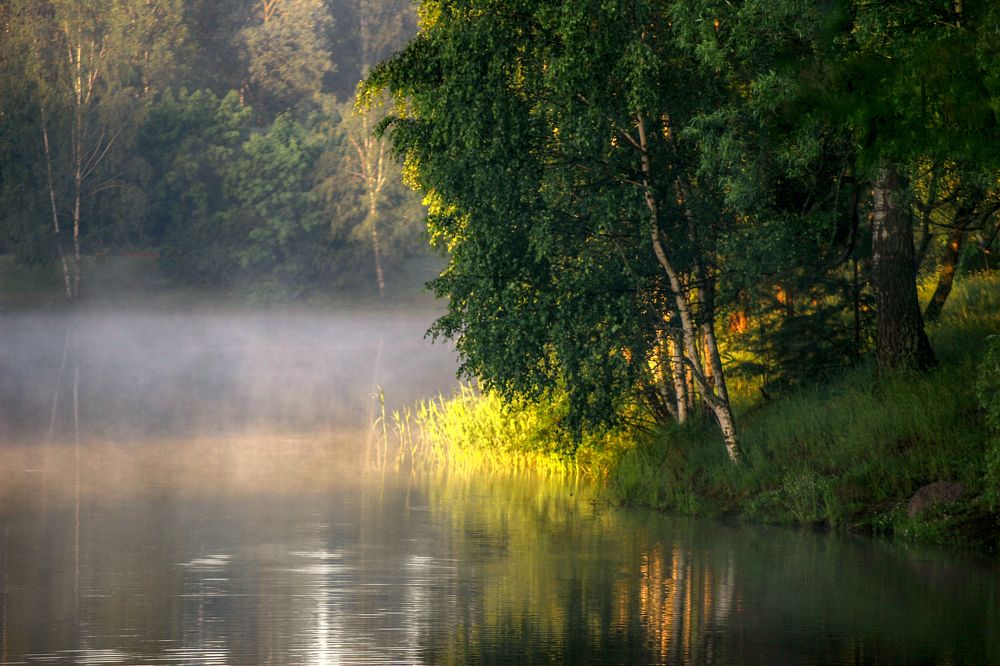 Photograph by Александр Литвинов