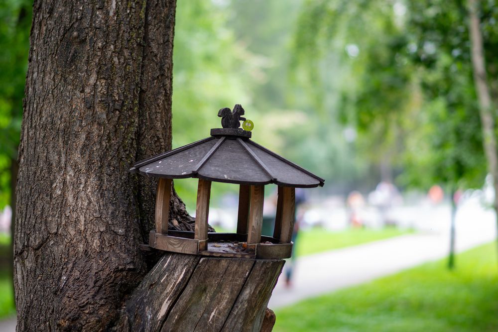 Фотография автора Михаил Бушенёв