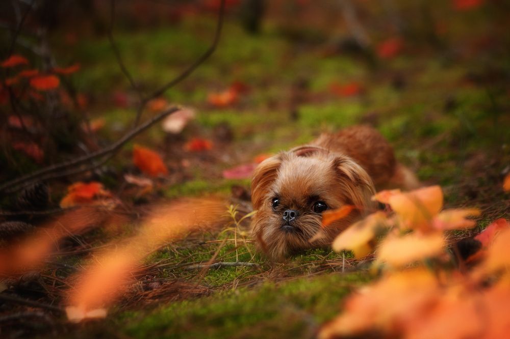 Photograph by Ирина Корх