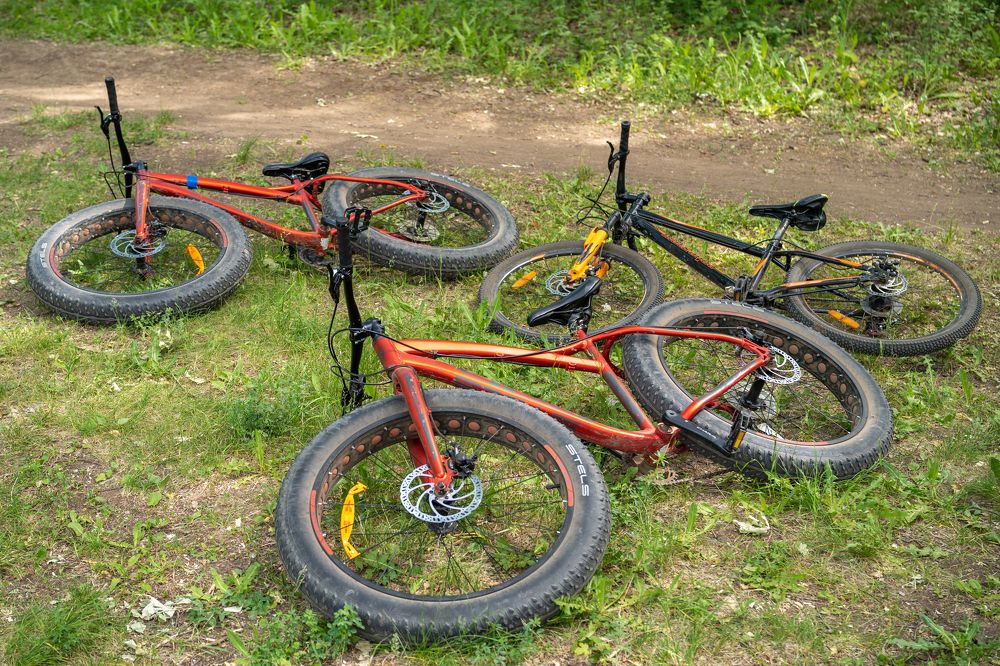 Photograph by Владимир Рогулькин