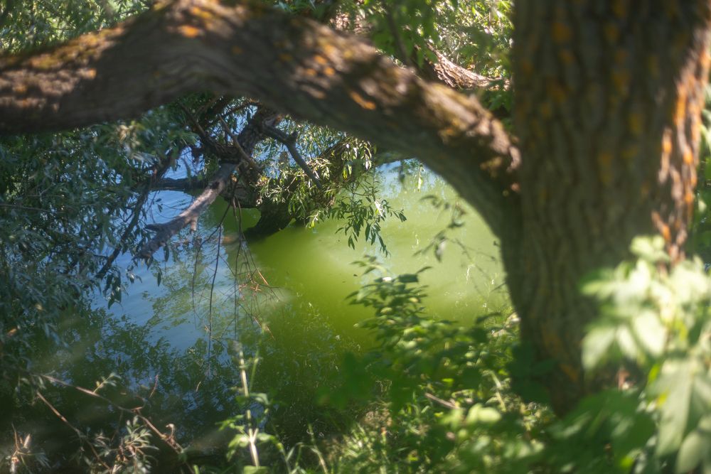 Фотография автора Михаил Бушенёв