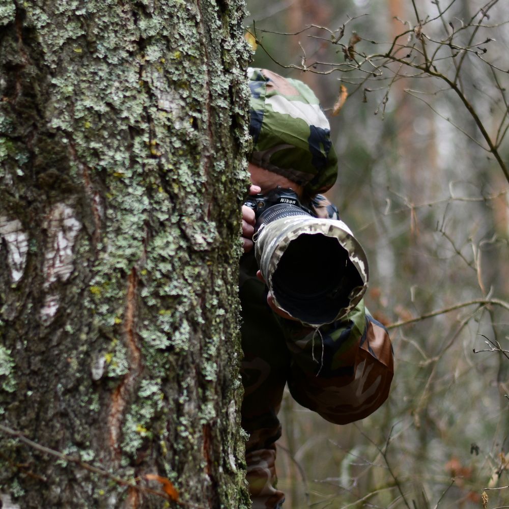 Photograph by Николай Абакумов