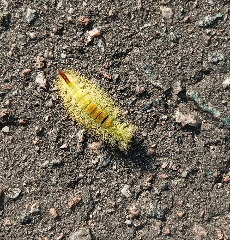 Photograph by Герман