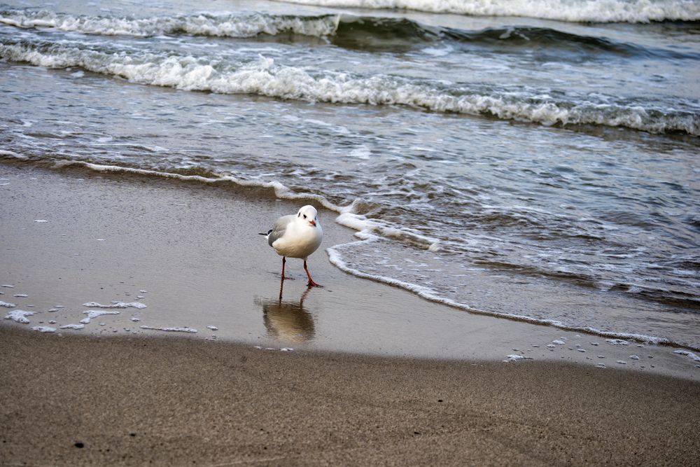 Photograph by Ангела Честнова