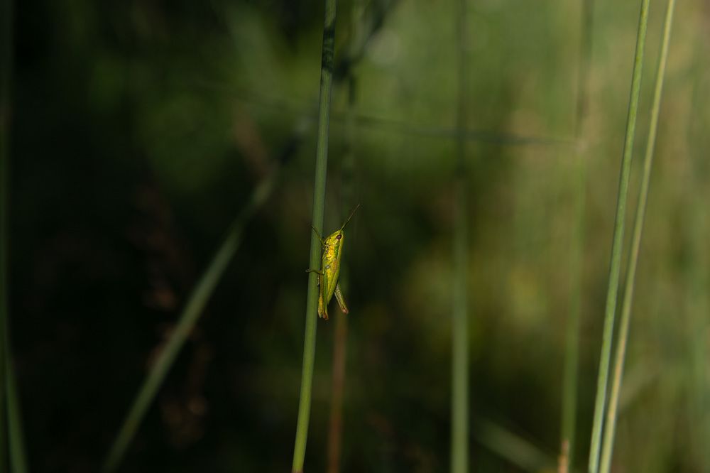 Photograph by Светлана Зайкова