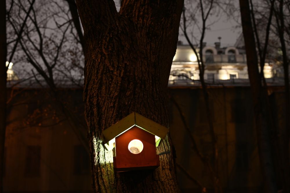 Фотография автора Роман Прохоров