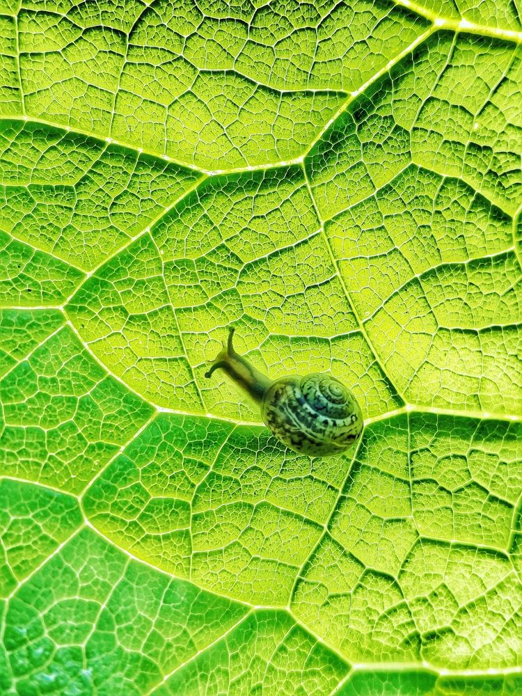 Photograph by Алексей Царевский