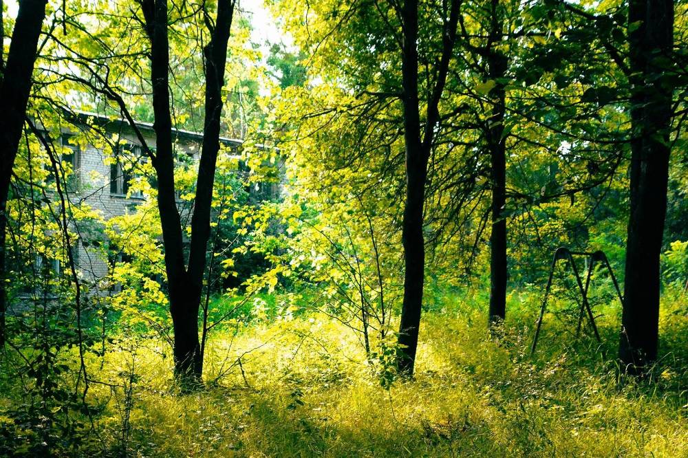 Photograph by Very Good