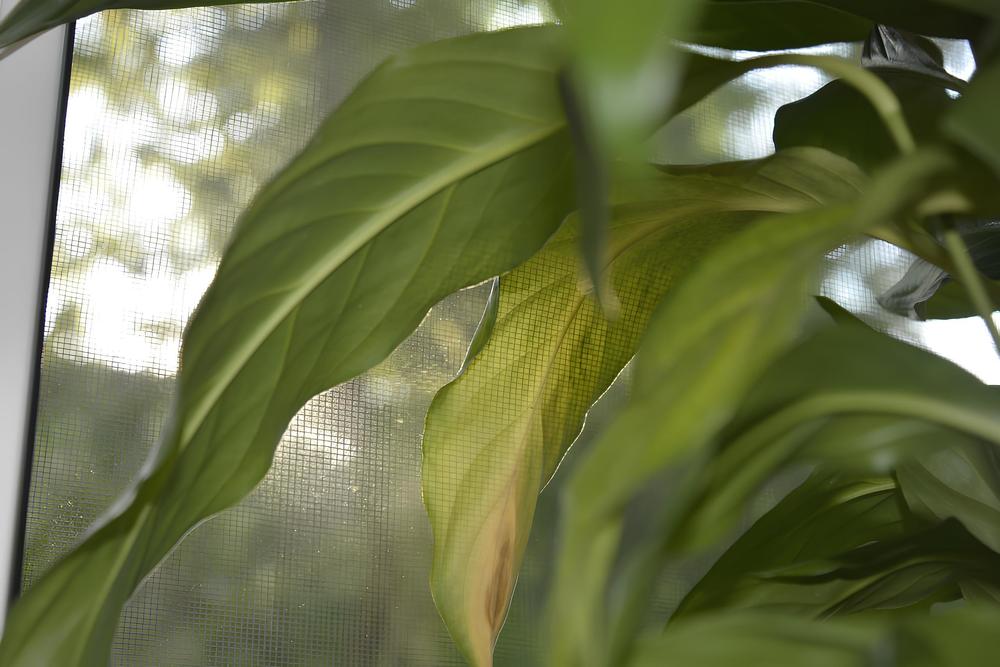 Photograph by Very Good