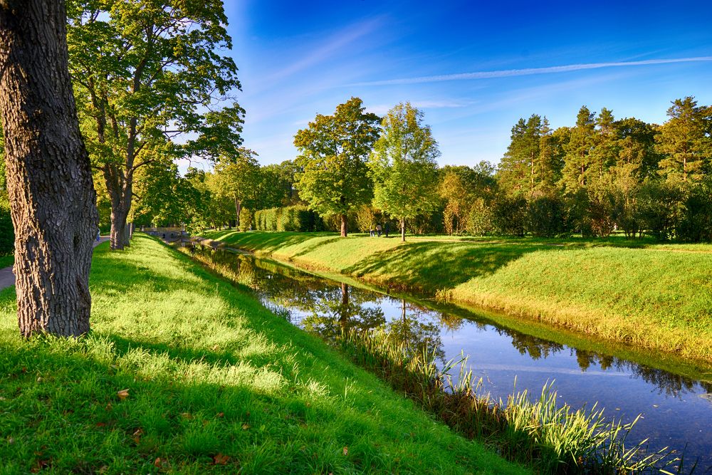 Photograph by Ангела Честнова