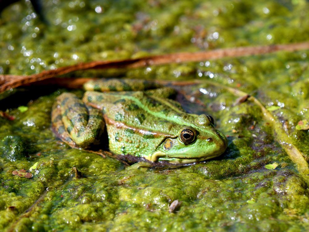 Photograph by Николай Абакумов