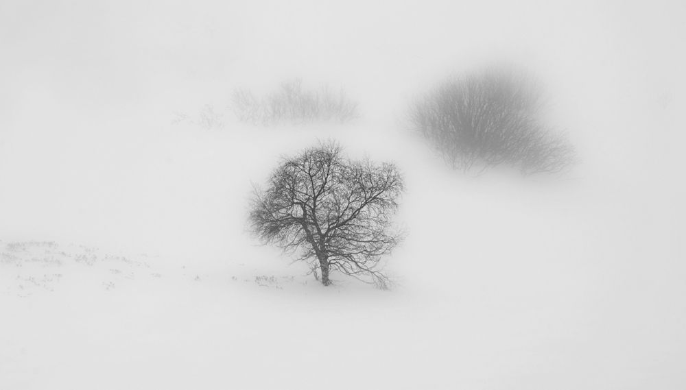 Photograph by Валерий Одинцов