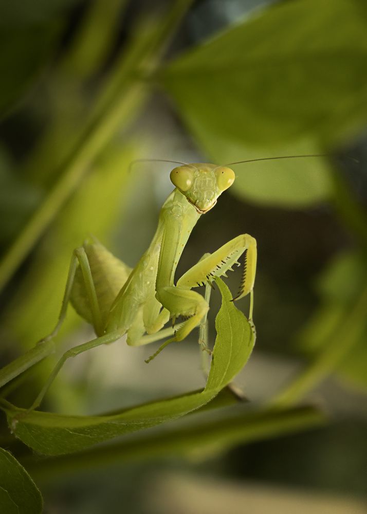 Photograph by Zhdanova Maria