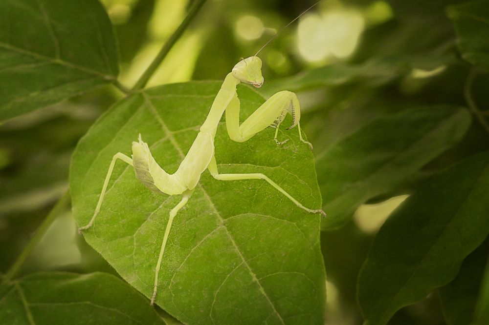 Photograph by Zhdanova Maria