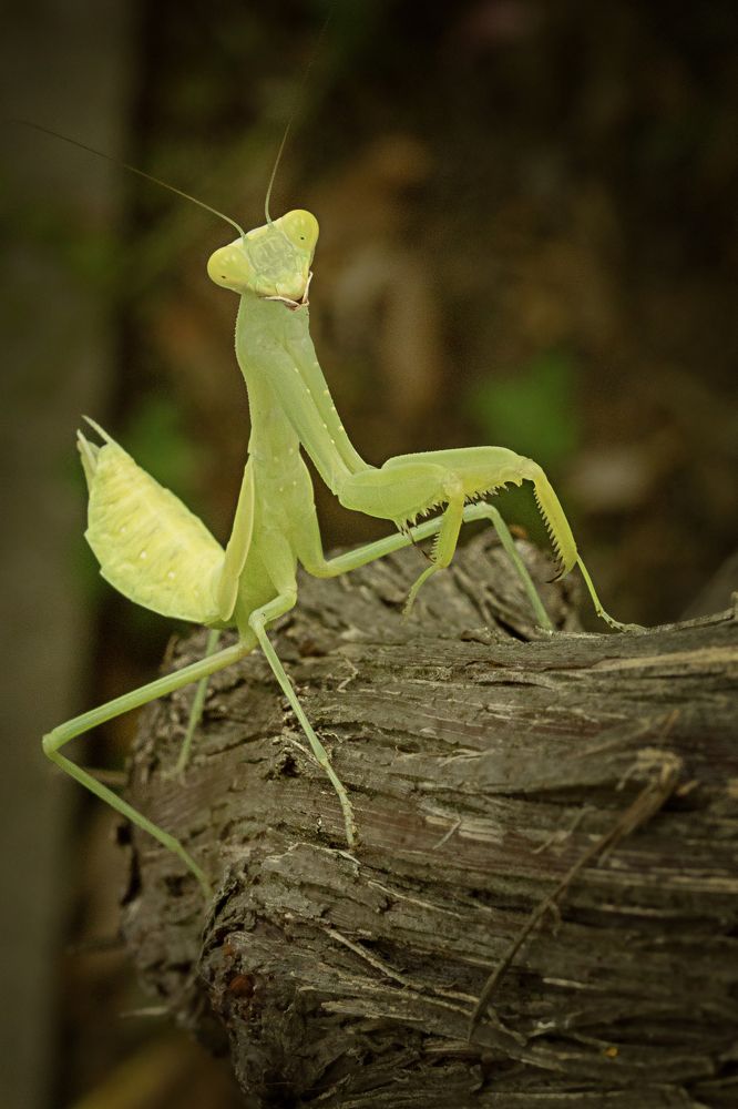 Photograph by Zhdanova Maria