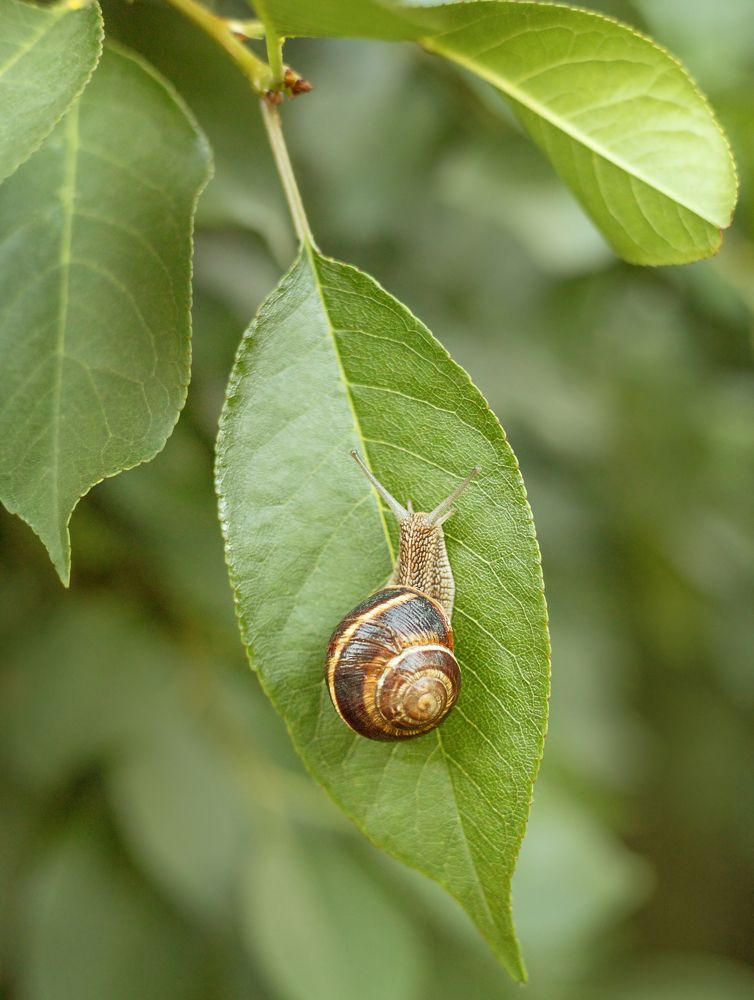 Photograph by Zhdanova Maria