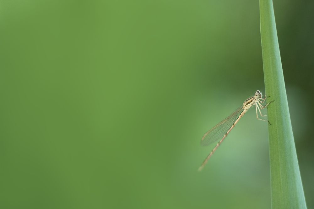 Photograph by Zhdanova Maria