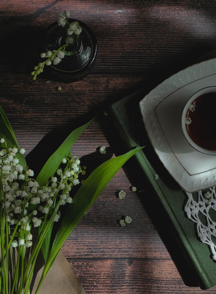 Фотография автора Ольга Панасюк