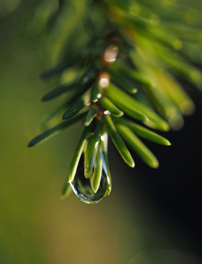 Photograph by Евгений Яковлев