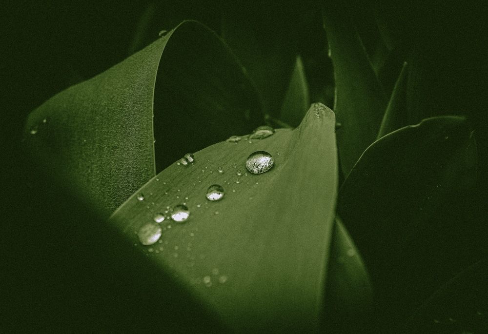 Photograph by Кристина Полякова