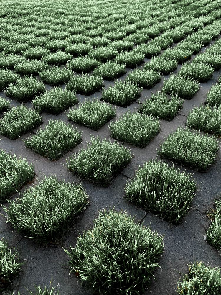 Photograph by Валентин Авдашев