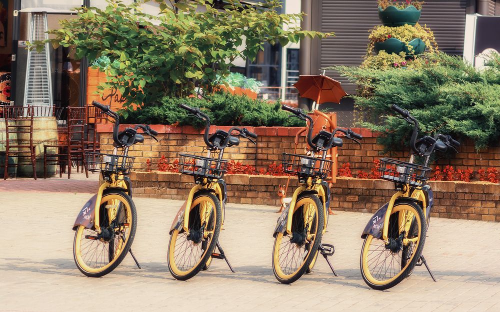 Photograph by Сергей Дишук