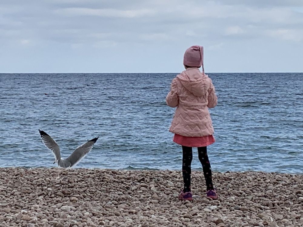 Photograph by Игорь Ребров