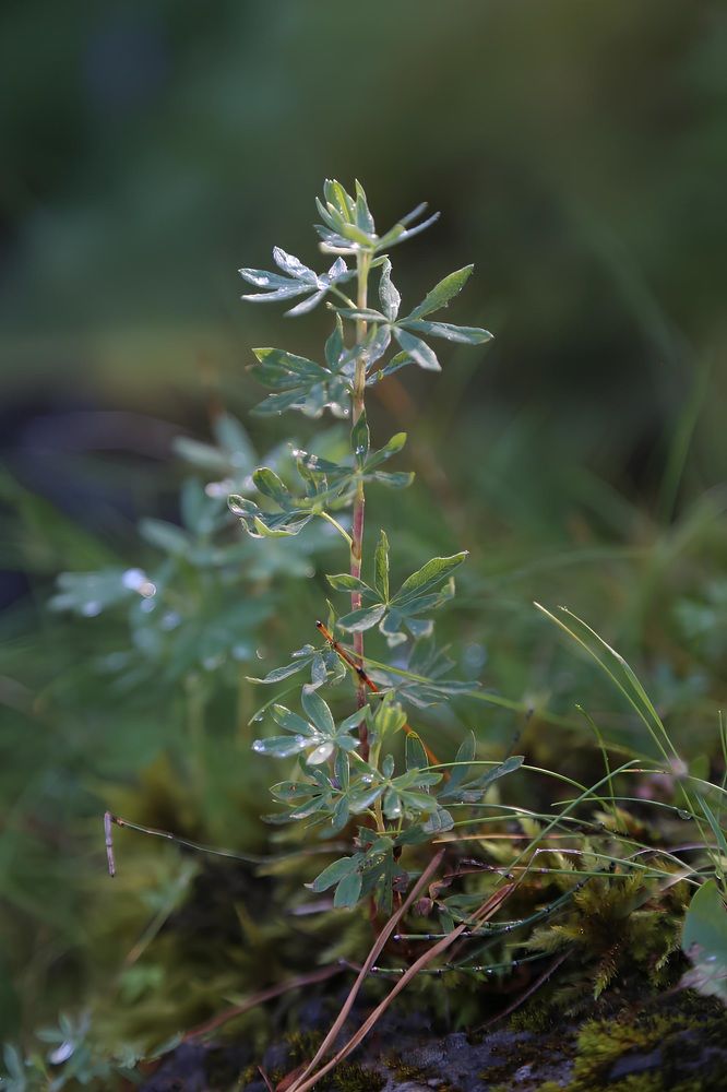 Photograph by Андрей Головин