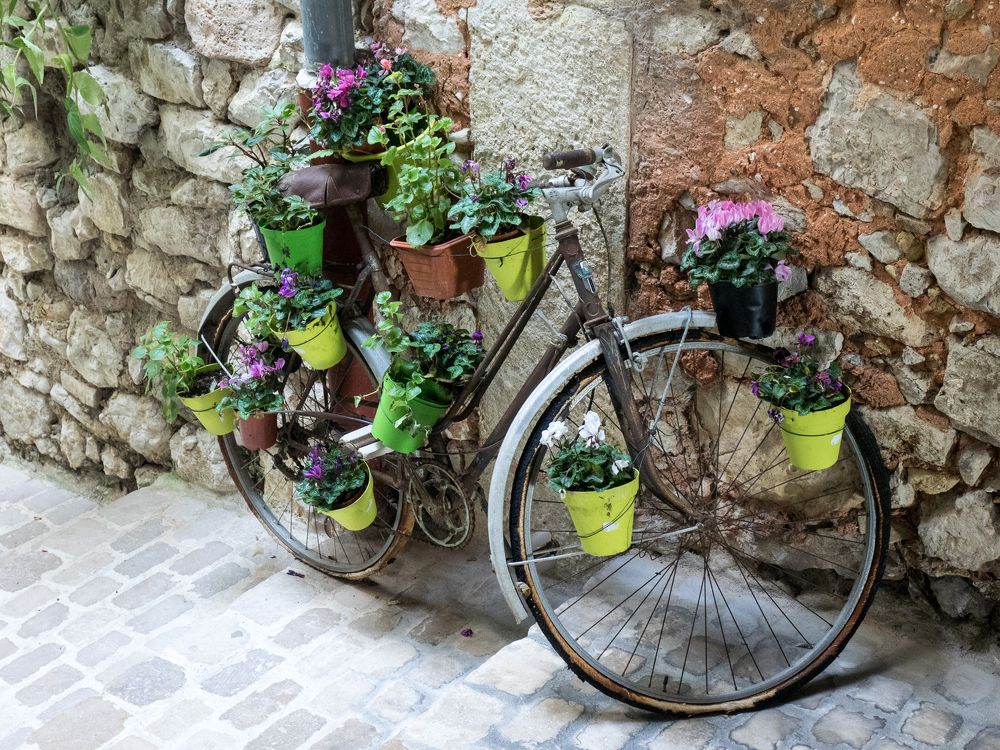 Photograph by Руслан Гончар