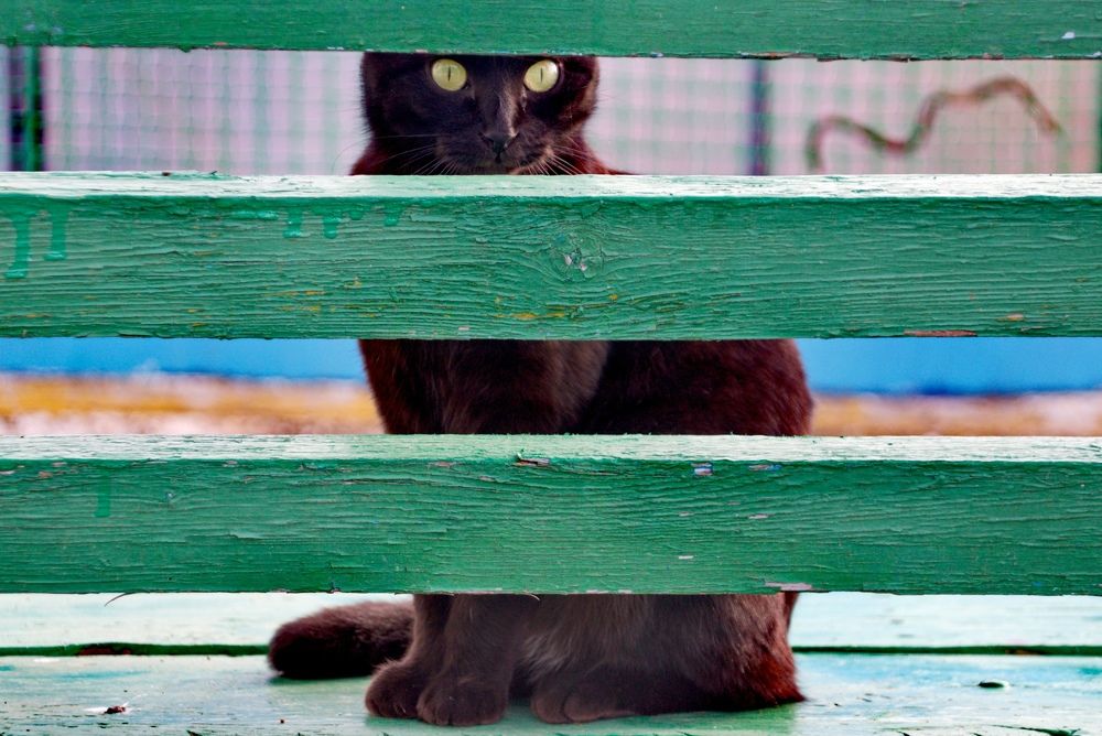 Photograph by Марина