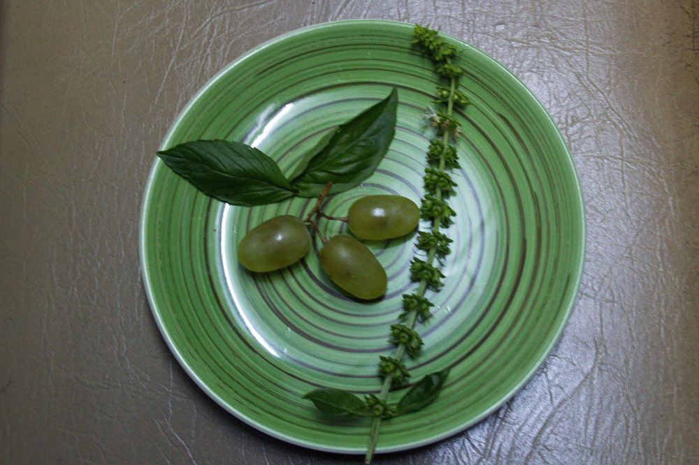 Photograph by Марина