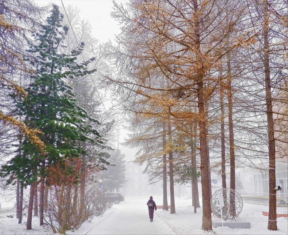 Туманный день.