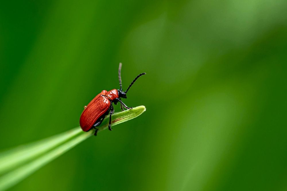 Фотография автора Helena Ivanova