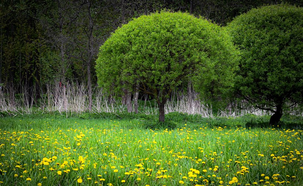 Photograph by Сергей Вальков